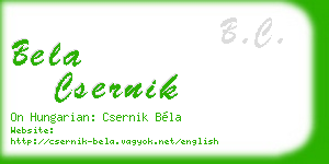 bela csernik business card